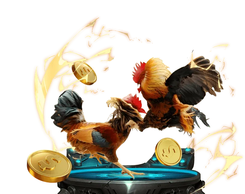 Chính sách cá cược có trách nhiệm của eu99